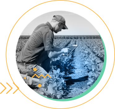 Industrias | Actividad Agrícola