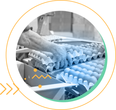 Industrias | Fabricación y distribución alimentária
